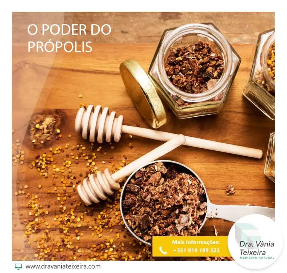 Própolis